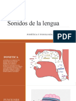 Sonidos de La Lengua