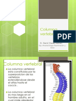 COLUMNA VERTEBRAL - pdf2