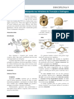 Osteo 6 - Osteopatia Nas Vértebras de Transição e Diafragma