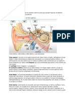 Histologia Del Oido