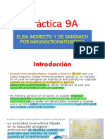 Práctica 9A ELISA e Inmunocromatografía