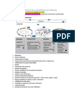 2) Importancia de La Resistencia Bacteriana