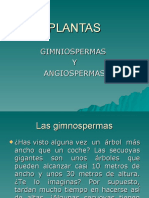 Gimnospermas y Angiospermas