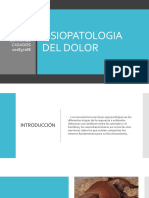 Fisiopatologia Del Dolor