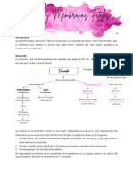 Placenta y Membranas Fetales