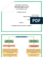 Organizador Grafico