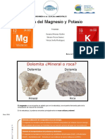 Ciclo Del Magnesio y Del Potasio Final