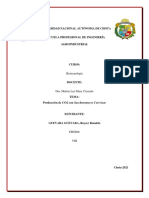 Informe de Práctica Produccion de CO2