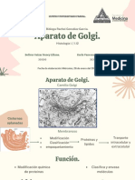 Aparato de Golgi. 