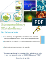 Bioenergética y Metabolismo 