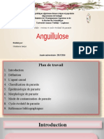 Anguillulose