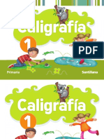 Libro Caligrafia