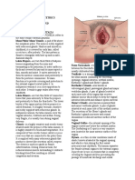 Obstetrics Outline (MCHN) Chapter 1