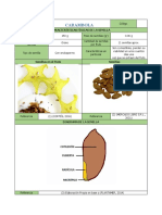 Ficha Semilla de Carambola