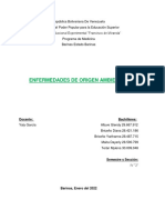 Tema 3 Enfermedades de Origen Ambiental