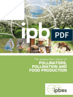 IPBES Polinizacion