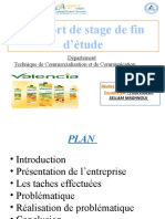 Rapport de Stage de Fin D'étude: Département Technique de Commercialisation Et de Communication