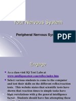 23 Biology 2 - 6 - 08 Nervous System 3 PNS