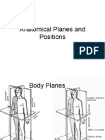 Body Planes