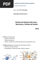 6 - Neurociencias I - Células Del Sistema Nervioso. Neuronas y Células de Sostén