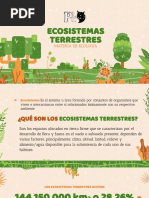 Ecosistema Terrestre