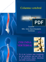 COLUMNA