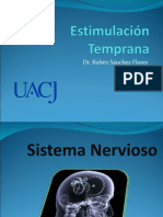 Sistema - Nervioso Uacj