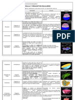 Célula y Organitos Celulares