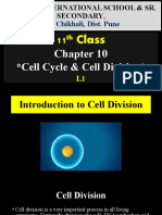 Cell Cycle & Cell Division