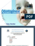 Aula 1 Odontogenese