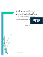 Calor Específico y Capacidad Calorífica - Grupo 1