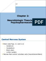 Neurobiologic Theories and Psychopharmacology