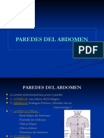 Paredes de Abdomen