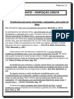 Ellen White - Perfeição Cristã-Caráter PDF