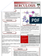 Tuberculosis Unam Tb130509-2