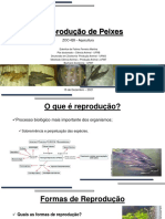 Reprodução de Peixes Edenilce