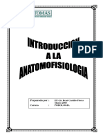 Anatomia Planos Del Cuerpo-1-12