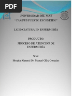 Proceso de Atención en Enfermería. Enterocolitis Nerosante.