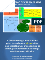 1 Metabolismo de Carboidratos