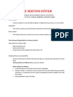 Lecture Note 1 (Nervous System and Diseases)