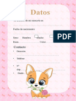 Carnet Veterinario Perrita Rosado