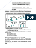 Ficha Evolucionismo e Fixismo 2022