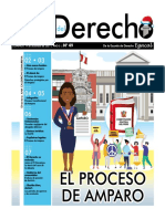 Suplemento 49 El Proceso de Amparo CH