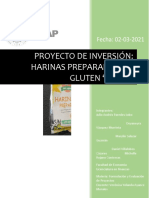 Proyecto de Inversion