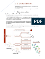 Tema 5. Genética Molecular (Biología 4º ESO)