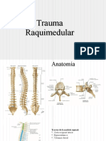 Trauma Raquimedular