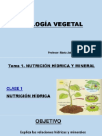 Nutrición Hídrica de La Planta