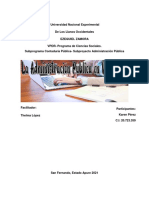 Administración Publica, Ensayo