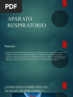 Aparato Respiratorio-Gabriela Vera Acosta