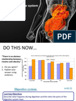 8.4.4 Digestive System